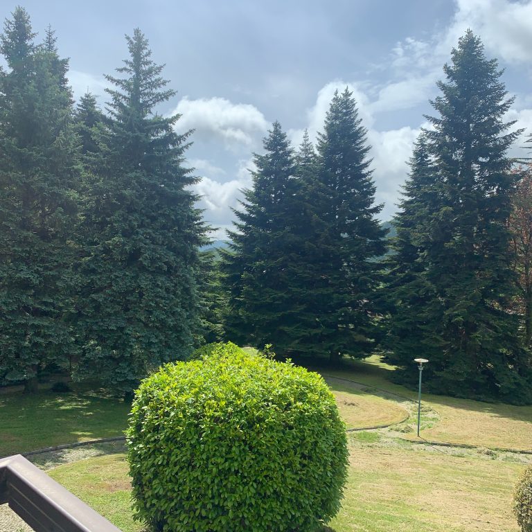 Photo taken with Focos